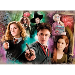 ROMPECABEZAS X 104 PIEZAS, HARRY POTTER