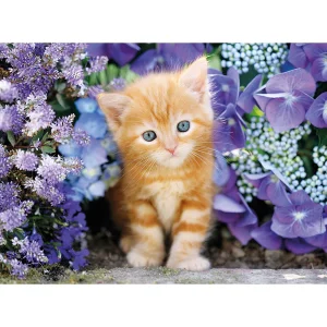 CLEMENTONI ROMPECABEZAS X 500 PZAS, GATITO RUBIO