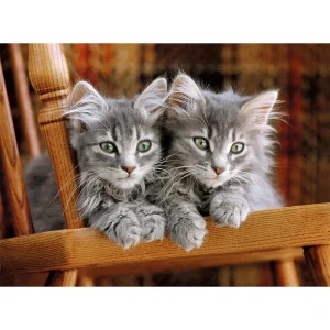 CLEMENTONI ROMPECABEZAS 500 PZAS. GATITOS
