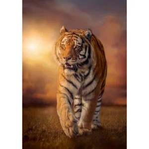 CLEMENTONI ROMPECABEZAS X 1500 PIEZAS, TIGRE