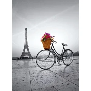 CLEMENTONI ROMPECABEZAS X 500 PIEZAS PASEO ROMANTICO EN PARIS