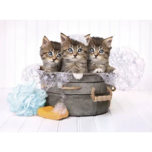 ROMPECABEZAS X 500 PIEZAS,GATITOS Y JABON