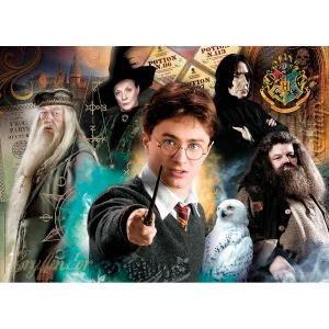 ROMPECABEZAS X 500 PIEZAS, HARRY POTTER...