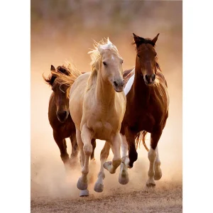 ROMPECABEZAS X 1000 PIEZAS, CABALLOS CORRIENDO