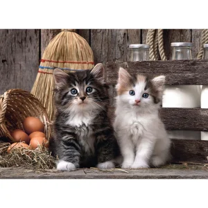 ROMPECABEZAS X 1000 PIEZAS, GATITOS ADORABLES