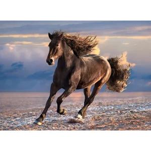 ROMPECABEZAS X 1000 PIEZAS, CABALLO
