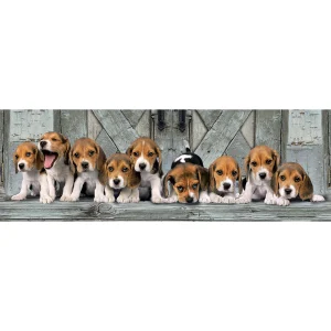 ROMPECABEZAS X 1000 PZAS, PERRITOS BEAGLES