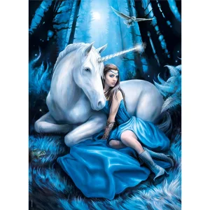 ROMPECABEZAS X 1000 PIEZAS, ANNE STOKES...