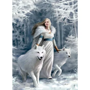 ROMPECABEZAS X 1000 PIEZAS, ANNE STOKES