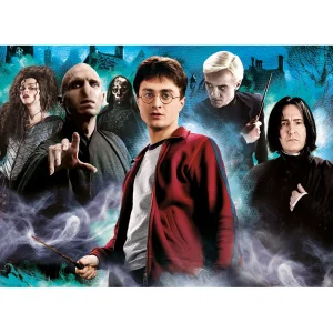 ROMPECABEZAS X 1000 PIEZAS, HARRY POTTER...