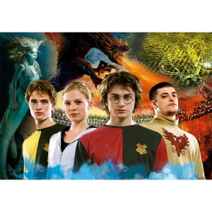 ROMPECABEZAS X 1000 PIEZAS, HARRY POTTER