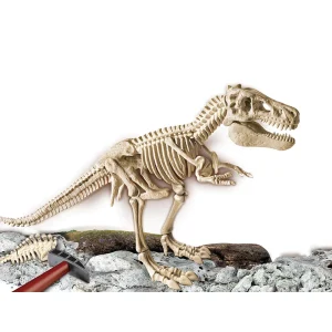 ARQUEOJUGANDO EL ESQUELETO DEL GRAN T-REX