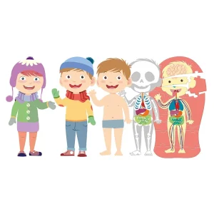 ROMPECABEZAS, EL CUERPO HUMANO