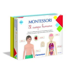 MONTESSORI- EL CUERPO HUMANO