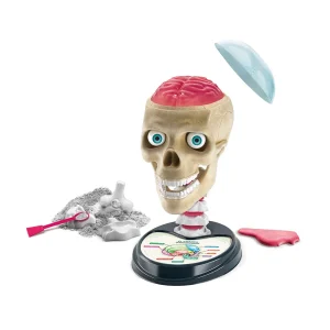 LABORATORIO DE CIENCIA , NUEVA ANATOMÍA