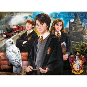 ROMPECABEZAS X 1000 PIEZAS, HARRY POTTER...