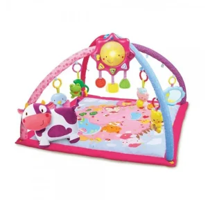 V-TECH MANTA Y GIMNASIO CANTARIN 2 EN 1 ROSA